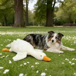 Big Duck Plushies Doll, Large Plush White Duck Dog Toy, Realistic Goose Design Dolls Suitable for Dogs Chew and Play Best Pet(19.7inch) - Thumbnail 8