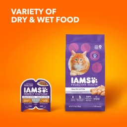 Iams Proactive Health Chicken Dry Cat Food For Kittens, 7 Lb Bag - Thumbnail 8