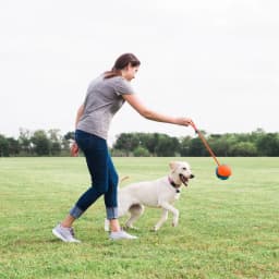 Chuckit! Rope Ball Indoor and Outdoor Fetch Dog Toy, 18" Rope, Blue and Orange, Pack - Thumbnail 6