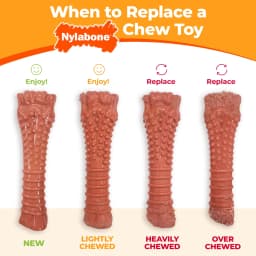 Nylabone Power Chew Original Bone Dog Toy, Dog Chew Toy, Chicken Flavor, X-Small, 1 Count - Thumbnail 8