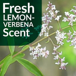 Simple Green Multi-Surface Floor Care - pH Neutral Floor Cleaner Lemon-Verbena 128 Fl Oz (Pack of 1) - Thumbnail 3