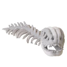 Dinosaur Plush, Dinosaur Skeleton Plush, Dinosaur Bones Stuffed Animal, Plush T Rex Bones, 35 Inch Soft Grey Stretchy Skeleton Dinosaur for Home - Thumbnail 2