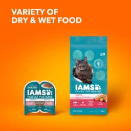 Iams Proactive Health Salmon Dry Cat Food, 7 Lb Bag - Thumbnail 8