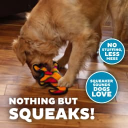 Outward Hound Durablez Medium Gecko Stuffing-Free Squeaky Plush Dog Toy for Puppies & Dogs - Interactive, Soft Yet Tough, No Mess, Jumbo Squeaker - Thumbnail 4