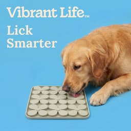 Vibrant Life Silicone Shamrock Snuffle Mat for Dogs and Cats, Green, 8.15" x 8.15" - Thumbnail 4
