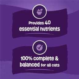 Purina Friskies Surfin and Turfin Dry Cat Food Flavors of Chicken, Whitefish, Salmon and Filet Mignon, 30 lb - Thumbnail 4