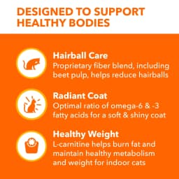 Iams Proactive Health Salmon Dry Cat Food, 7 Lb Bag - Thumbnail 6