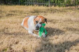 Multipet GUMBY PLUSH - Thumbnail 9