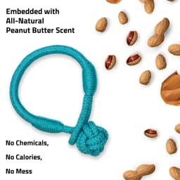 Playology Dog Toys | Puppy Teething Toy Rope Tug Knot, Peanut Butter Scented Toy, Medium - Thumbnail 4