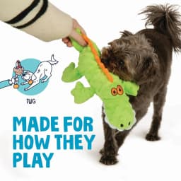 goDog Gator Plush Toy for Dogs with Chew Guard Technology for Stronger & Longer Play, Soft & Durable with Built-In Squeaker, Green, Large - Thumbnail 3