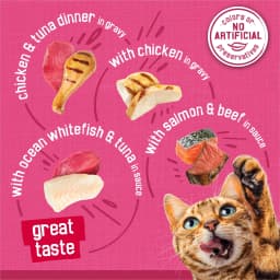 Purina Friskies Surfin' & Turfin' Favorites Prime Filets Wet Cat Food Variety Pack, 5.5 oz Cans (48 Pack) - Thumbnail 3