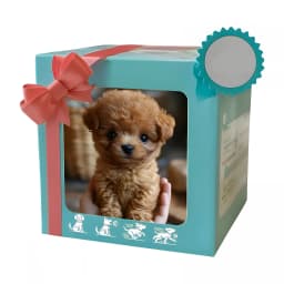 CYFW Robot Dog, Realistic Robot Puppy That Acts Like A Real Dog, Interactive Plush AI Robot Pup, Robot Dogs for Sitting, Barking, Walking realistic - Thumbnail 2