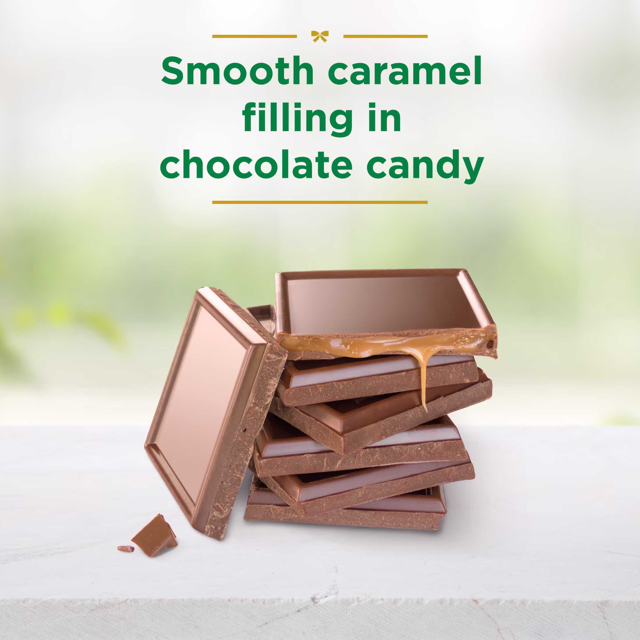 Russell Stover Sugar Free Caramel Bar with Stevia Smooth Caramel Filling in Chocolate Candy, 3 oz. Bar - Thumbnail 3