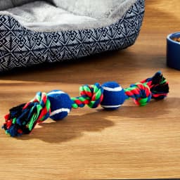 Vibrant Life Chomp and Tug Buddy Tennis Balls Dog Chew Toy - Thumbnail 2