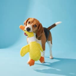 Vibrant Life Yellow Duck Plush Dog Toy with Squeaker, Chew Level 4 - Thumbnail 2