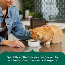 Rachael Ray Nutrish Indoor Complete Chicken, Lentils & Salmon Dry Cat Food, 14 lb Bag - Thumbnail 4