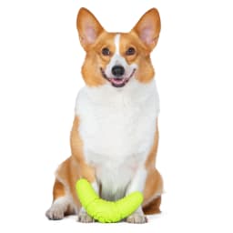 Arm & Hammer: Scrubbies Boomerang Puppy Dental Chew Toy- LRG - Thumbnail 2