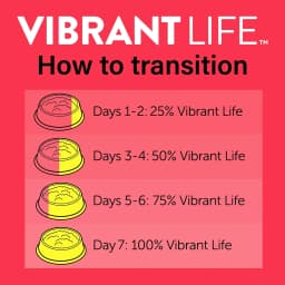 Vibrant Life Beef Dinner Roasted Flavor in Gravy Wet Cat Food, 3 oz Can - Thumbnail 10