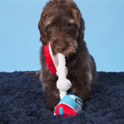 BARK Poopies and Cream Dog Toy, Plush Pint Design, Squeaky, All Sizes - Thumbnail 7