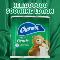Charmin Ultra Gentle Toilet Paper, 18 Mega Roll - Thumbnail 2