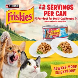 Purina Friskies Extra Gravy Beef, Chicken, Turkey, & Salmon Chunky Wet Cat Food Variety Pack, 5.5 oz Cans (24 Pack) - Thumbnail 10