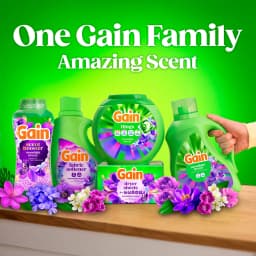 Gain Flings Laundry Detergent Soap Pacs, 4-in-1 Oxi Boost and Febreze, Moonlight Breeze Scent, 12 Count - Thumbnail 10