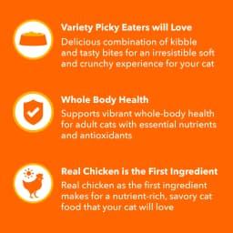 Iams Healthy Enjoyment Chicken & Salmon Recipe Dry Cat Food, 3 Lb Bag - Thumbnail 3