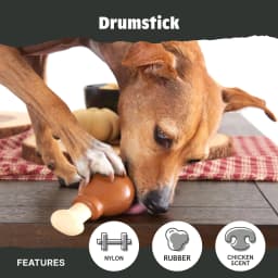BARK Box Drumstick Chicken Scent Chew Dog Toy, Nylon Core, Medium & Large - Thumbnail 4