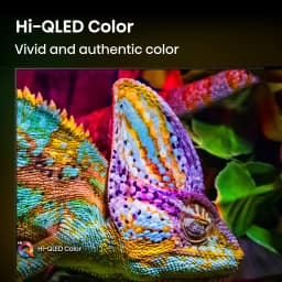 Hisense 50\" M7 Series Mini-LED QLED 4K UHD Smart Google TV (50M7QG, 2025 Model) - MiniLED, Hi-QLED, HDR10+ - Thumbnail 5