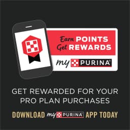 Purina Pro Plan Cat Food Sensitive Skin and Stomach Lamb and Rice Dry Formula - Thumbnail 11