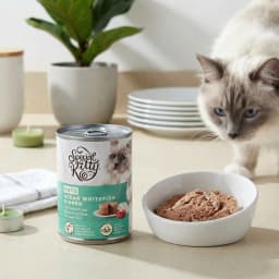 (6 pack) Special Kitty Ocean Whitefish Dinner Pate Wet Cat Food, 13 oz Can - Thumbnail 3