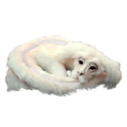LINMOUA Falkor From The Neverending Story Plush Doll Toys Gift for Kids and Adluts - Thumbnail 2
