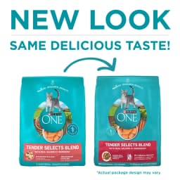 Purina ONE Tender Select Blends Dry Cat Food, Salmon, 16 lb Bag - Thumbnail 2