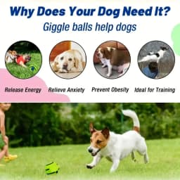 BYXAS Wobble Giggle Ball for Dogs, Interactive Dog Toys for Boredom, Squeaky Ball Dog Toys to Keep Them Busy, Pet Toys for Small Medium Large Dogs - Thumbnail 3