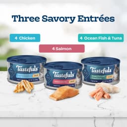 Blue Buffalo Tastefuls Natural Pate Wet Cat Food Variety Pack, Salmon, Chicken, Ocean Fish & Tuna Entrées 3-oz Cans (12 Count - 4 of Each Flavor) - Thumbnail 4