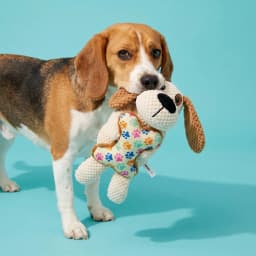 Vibrant Life Brown Dog with Bone Plush Dog Toy with Squeaker, Chew Level 4 - Thumbnail 2