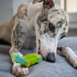 Aelflane Tough Dog Toys,Dog Toys for Aggressive Chewers,Indestructible Dog Toys for Large Breed,Durable Dog Toys for Large Dogs,Bacon Flavor,Green - Thumbnail 8