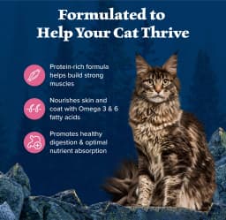 Blue Buffalo Wilderness Natural High Protein Dry Food for Adult Cats, Salmon, 4-lb Bag - Thumbnail 4