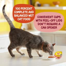 Meow Mix Tenders in Sauce with REAL Salmon & Crab, Wet Cat Food, 2.75 oz Cup - Thumbnail 2