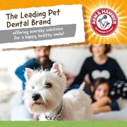 Arm & Hammer Super Treadz Gator Durable Dog Dental Toy - Thumbnail 8
