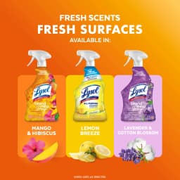 Lysol Brand New Day All Purpose Cleaner Mango & Hibiscus, Deep Clean 32 fl oz - Thumbnail 7
