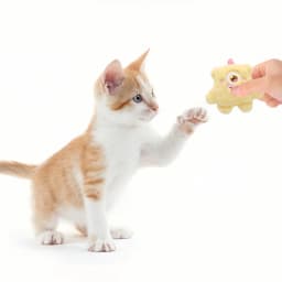 Cute Plush Chew Toy For Pet, Soft Squeaky Cartoon Character Toy, Fun Companion For Indoor Play,Interactive Pet Toys,Gifts for Pets and Pet - Thumbnail 4