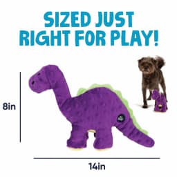 goDog Dinos Bruto Plush Toy for Dogs with Chew Guard Technology for Stronger & Longer Play, Soft & Durable with Built-In Squeaker, Purple, Medium - Thumbnail 3