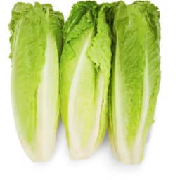 Fresh Romaine Lettuce Hearts 3 Count, Each - Thumbnail 1
