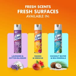 Lysol Brand New Day Disinfectant Spray, Sanitizing and Antibacterial Spray, Deodorizer, Mango & Hibiscus, 19 oz - Thumbnail 7