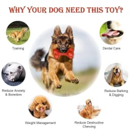 Valr Dog Chew Toys for Aggressive Chewers Large Breed,Rubber Dog Bones - Thumbnail 5
