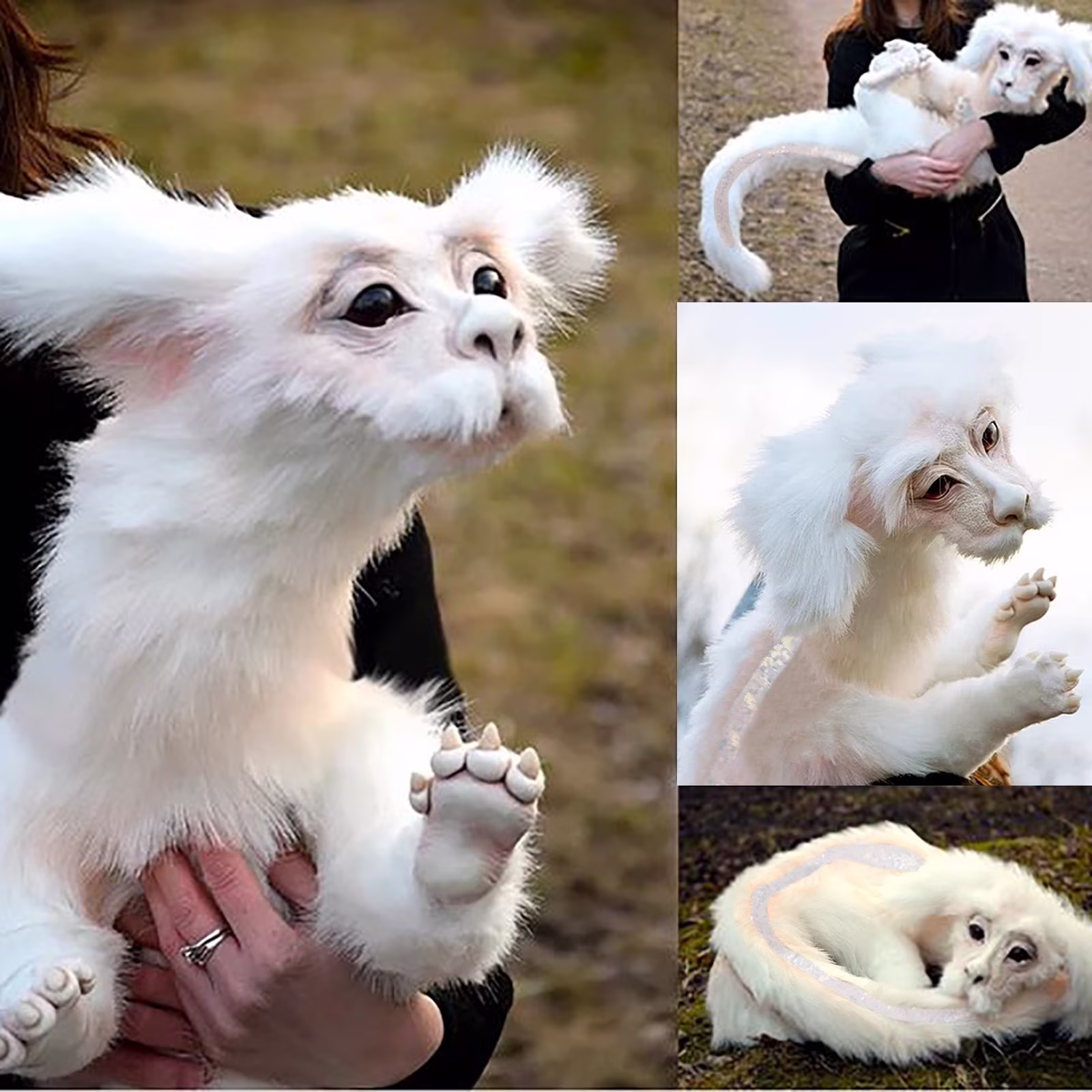 LINMOUA Falkor From The Neverending Story Plush Doll Toys Gift for Kids and Adluts - Thumbnail 1