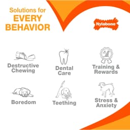 Nylabone Power Chew Original Bone Dog Toy, Dog Chew Toy, Chicken Flavor, X-Small, 1 Count - Thumbnail 7