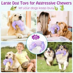 Pet Deluxe Dog Toys for Super Aggresive Chewers Indestructible Interactive Tough Dog Chew Crocodile Toy Heavy Duty Durable Toys Teeth Cleaning - Thumbnail 7