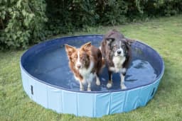 TRIXIE 63" Outdoor Splash Pool for Dogs, Foldable Playpen, Bathtub, Blue, XX-Large - Thumbnail 3